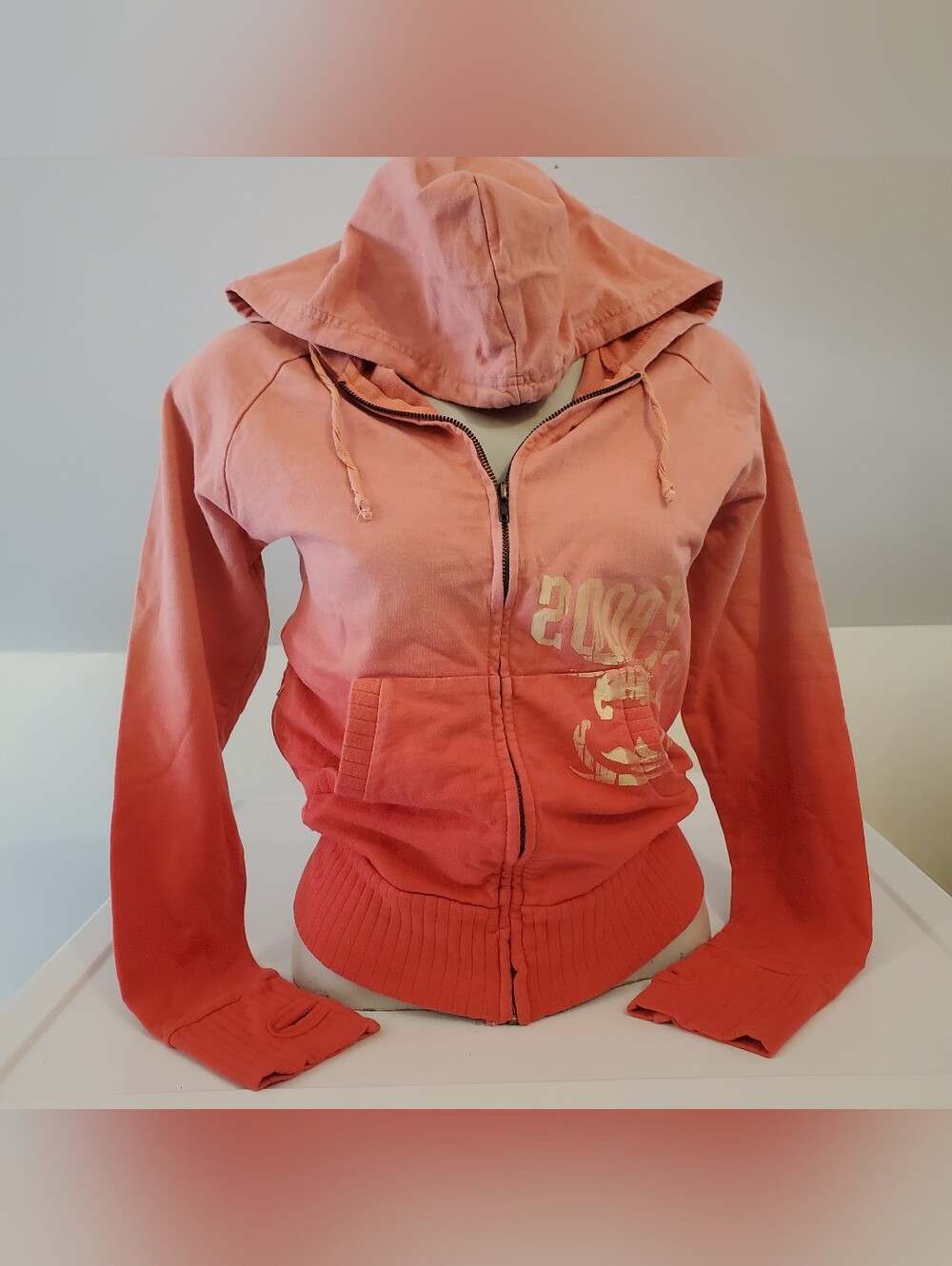 Y2K Ombre Pink Sunset Summer Beach Hoodie